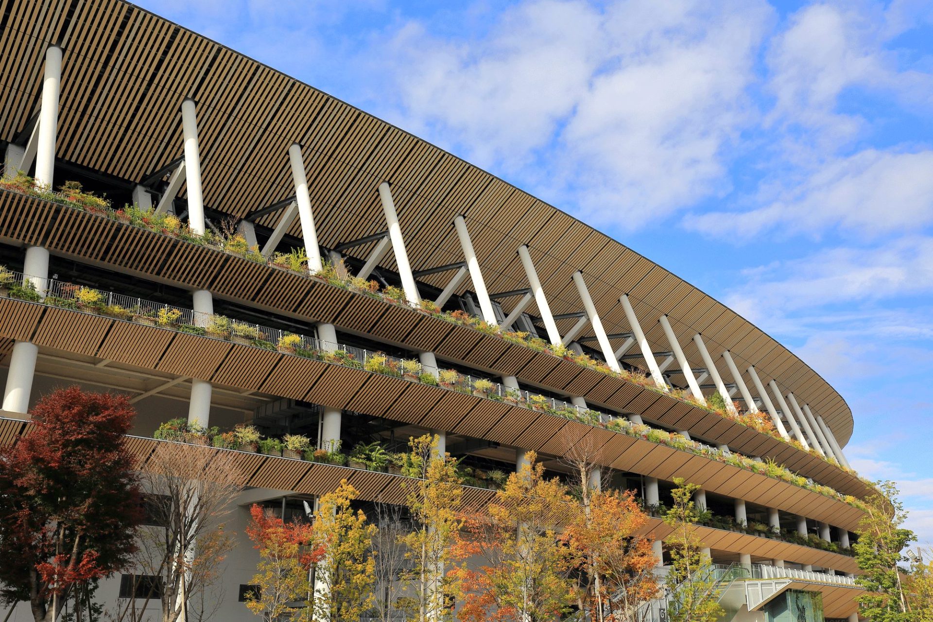 木造建築で有名な世界の建物｜国産材と大型木造建築を日本の市場に | ミライスタイル