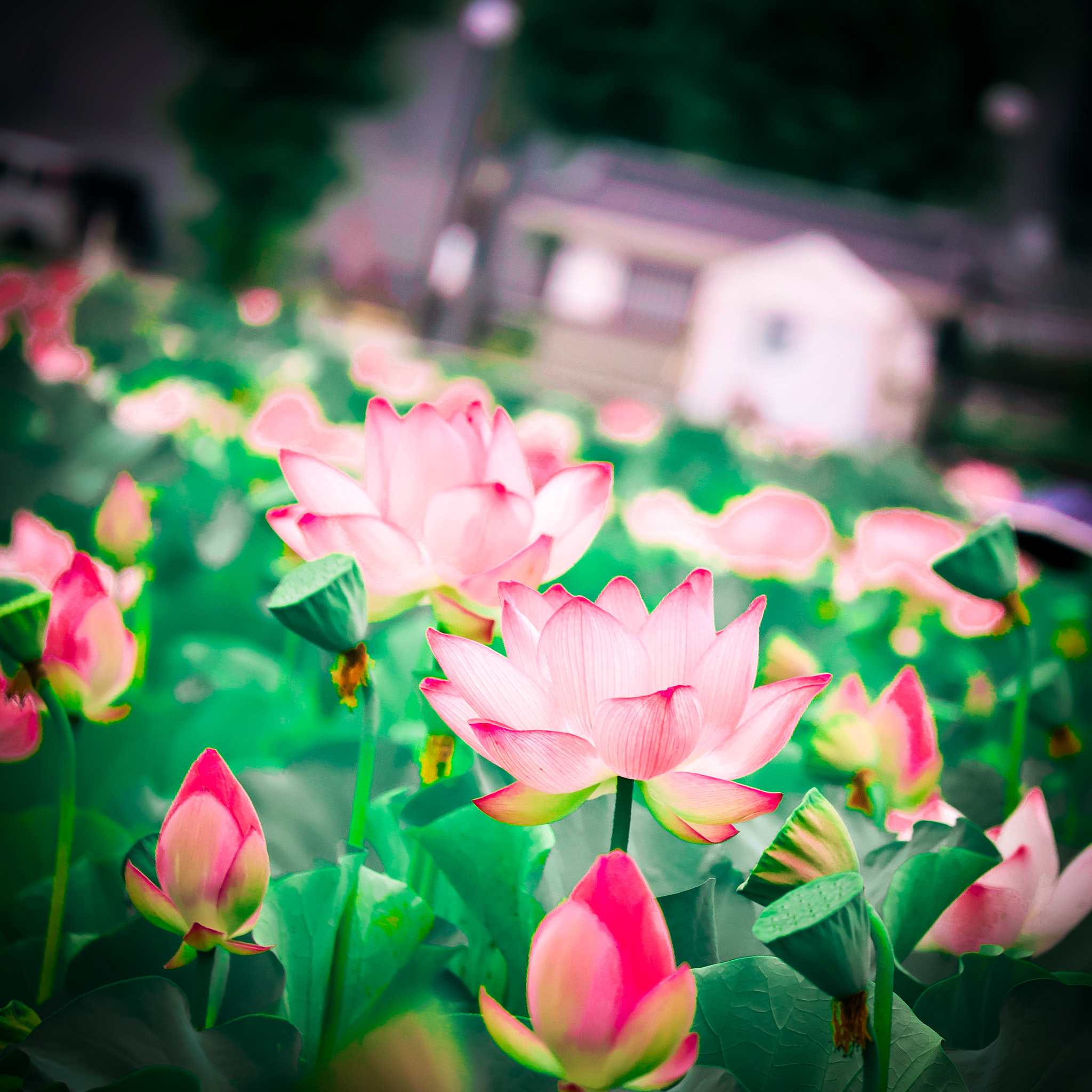 お盆2.0？ | ミライスタイル