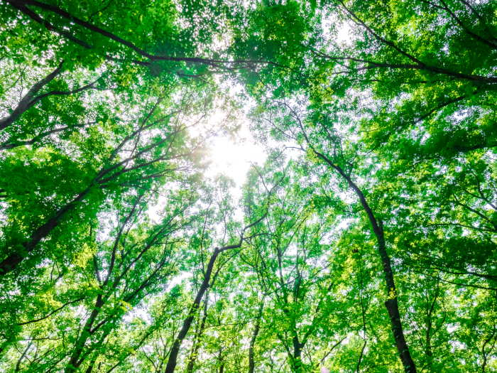 建築で急速に進むGXとは